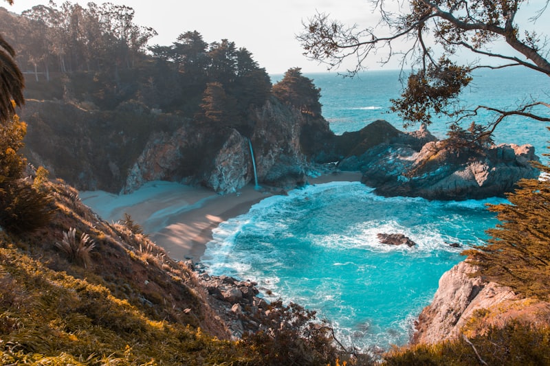Rocky coastal cove with a waterfall cascading into turquoise water, viewed from above through tree branches